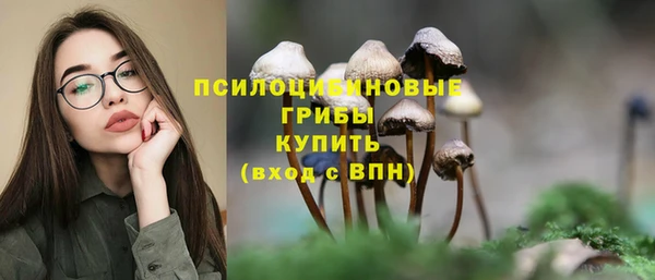 ПСИЛОЦИБИНОВЫЕ ГРИБЫ Балахна