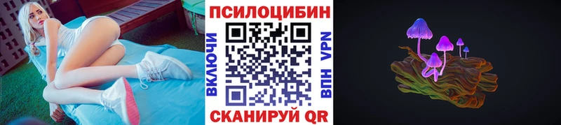 сколько стоит  Фокино  Псилоцибиновые грибы Psilocybe 